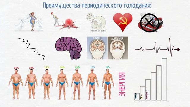 Периодическое голодание! Шокирующая правда!