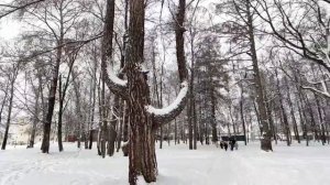 Экскурсия для первоклассников "Сказки старого парка"