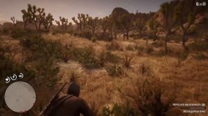 RDR 2! Охота на ЛЕГЕНДАРНУЮ ПУМУ! Red Dead Redemption 2!