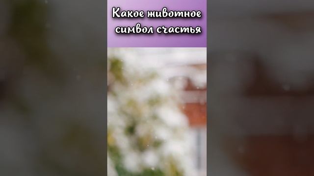 Какое животное символ счастья?#shorts