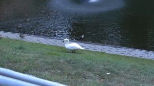 Гомель Сентябрь 2022 - Gomel September Panasonic HDC TM700