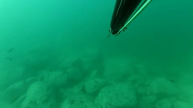 Подводная охота. Владивосток. Осеннее море.