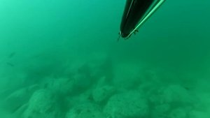 Подводная охота. Владивосток. Осеннее море.