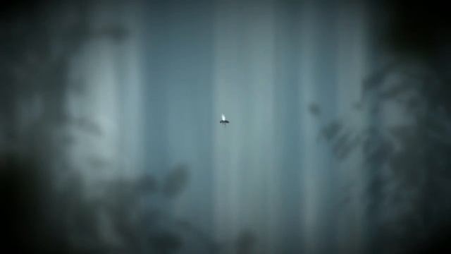 Целая жизнь в одно мгновение! Жизнь - мухи! смотреть онлайн