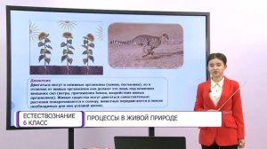 Естествознание. 6 класс. Процессы в живой природе /22.01.2021/