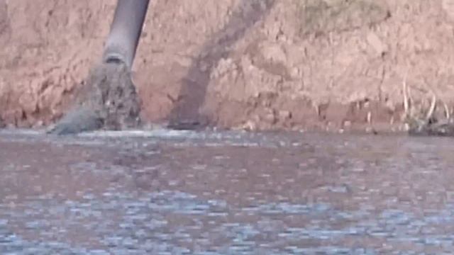 Купайтесь на здоровье! смотреть онлайн