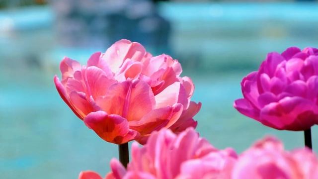 Как прекрасен этот мир! смотреть онлайн