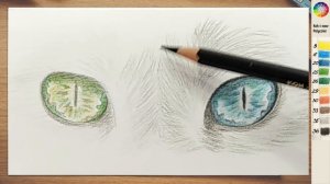 МАСТЕР-КЛАСС.  Как нарисовать глаза кота цветными карандашами