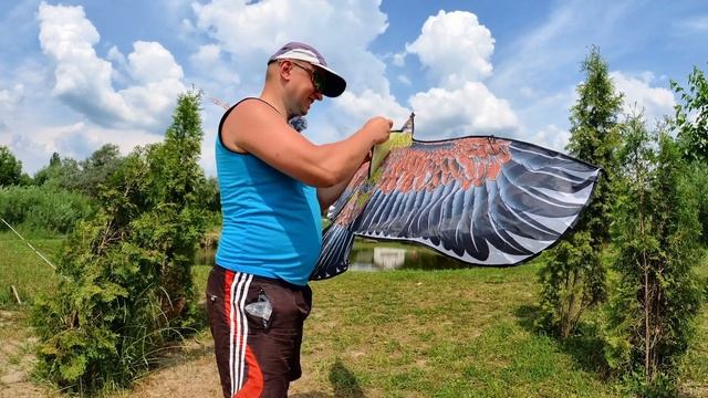 Как отпугивать цапель, бакланов, чаек и уток с прудов?