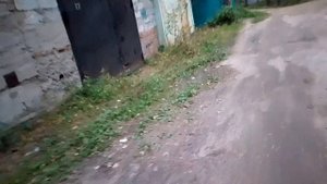 Лесная страшилка часть 1