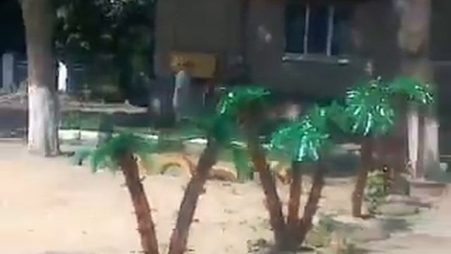 ПАЛЬМЫ ИЗ БУТЫЛОК---ТРОПИКИ))) смотреть онлайн