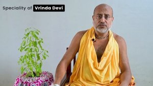 Слава Туласи Деви. история Туласи Деви. Почему Туласи могущественна