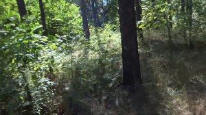 Пневмат МР-654 К  ПРОБИВАЕМОСТЬ