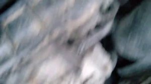 Звук двигателя 1.8 tsi после замены цепи ГРМ