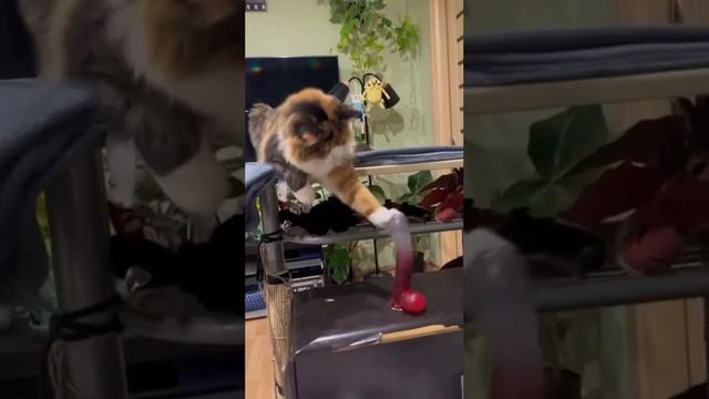 Мои планы на выходные