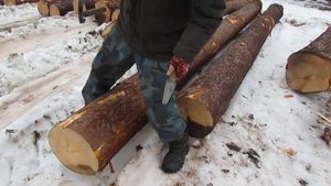 Ошкуривание бревен для сруба