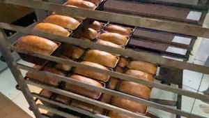 Ротационная печь Panemor PM80G H