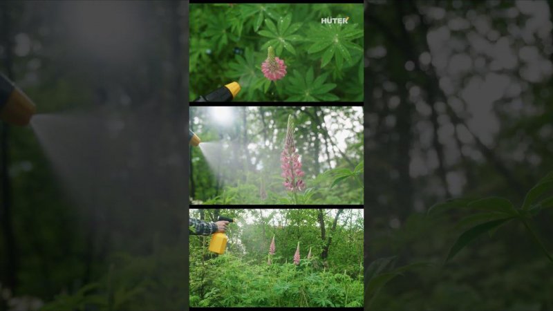 Полезная вещь для дома и дачи | Компактный аккумуляторный опрыскиватель Huter SP-2Li