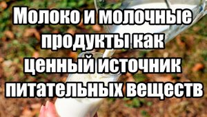 Молоко и молочные продукты как ценный источник питательных веществ. Польза молока.