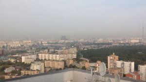 Крик сокола в московском небе