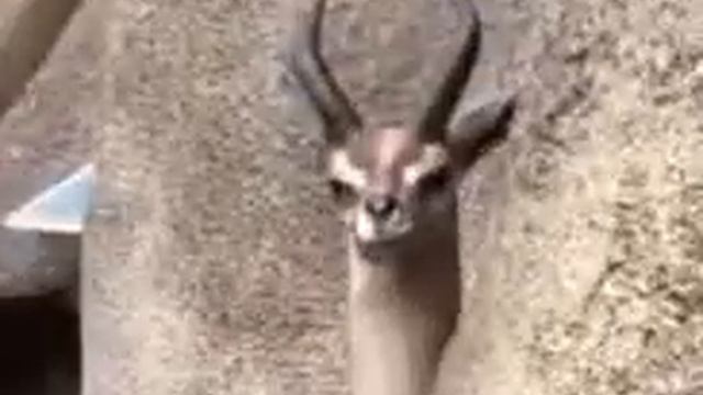 Когда зовут к доске смотреть онлайн