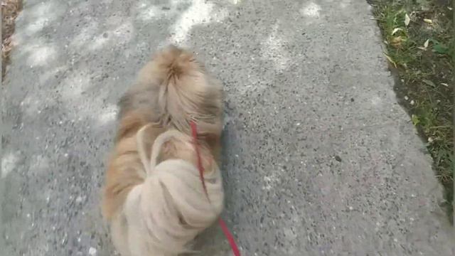 ВОТ И ЭТО СЛУЧИЛОСЬ ОН САМ ДОСТАЛ СЕБЕ ЧТО?????? смотреть онлайн