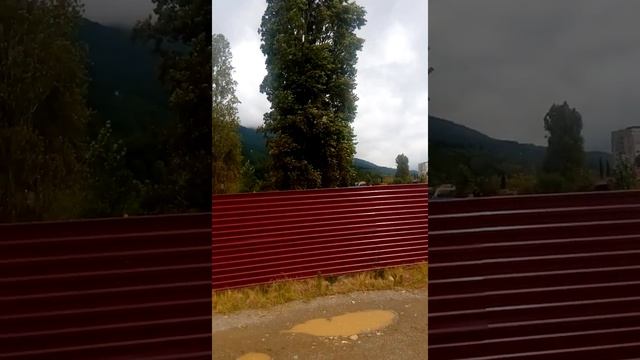 Гагры. Пляж. Август 2016