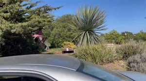 Клубничная ферма в Калифорнии. Сколько стоит сбор ягод ???