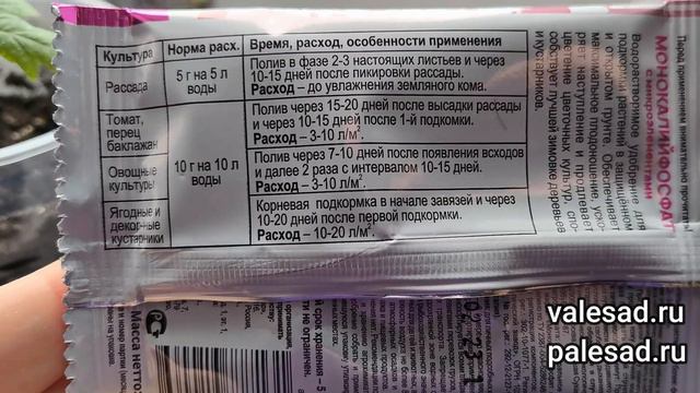 ПОДКОРМИТЕ ЭТИМ РАССАДУ ТОМАТОВ И ПЕРЦЕВ ПОСЛЕ ПИКИРОВКИ! Урожайность повысится в 2 раза!