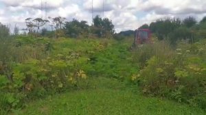 косилка, уничтожитель бурьяна