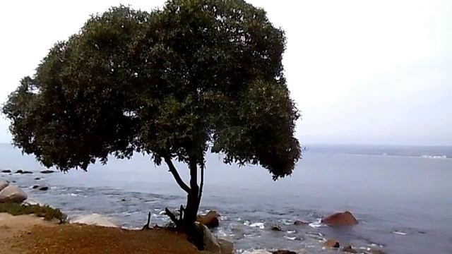 Beautiful Moments: Algarrobo, Chile. Travel To Chile. Путешествие в Чили