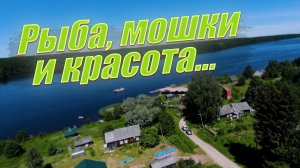 Рыбалка на реке  Свирь в  жару l Бешеный  клёв I ивинский разлив