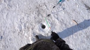 Ловля щуки зимой на Махалку (краба). Зимняя рыбалка 2021