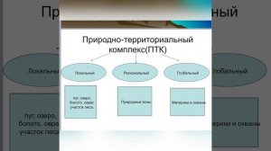 Виды природно-территориальных комплексов. 7 класс