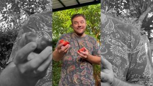 Подборка смешных роликов от нашей семьи!