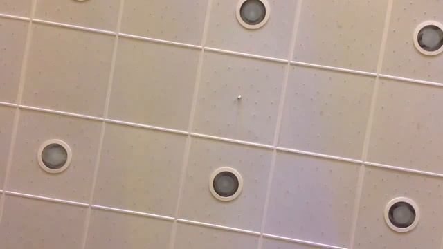 Церемония открытия бала " Поднебесный" в Кремле. смотреть онлайн