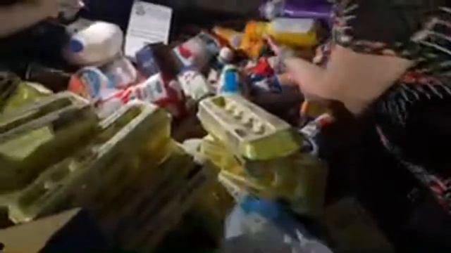 LIVE🚨 Dumpster Diving #haul #freefood #dumpsterdiving
