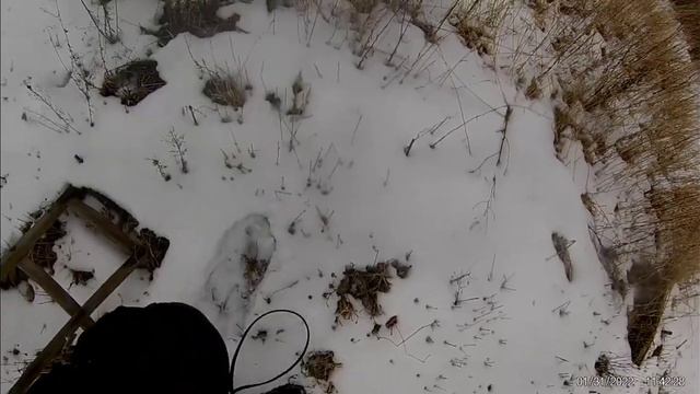 Камышовый или деревянный улей? А все таки в каком пчёлам лутше? смотреть онлайн