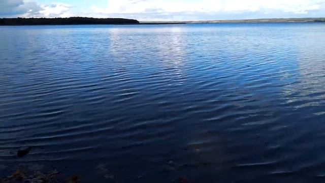 КРАСНОЛЕСЬЕ 2018