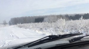 Погода в Беларуси? видео о красивой зиме