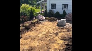 КАК СОЗДАТЬ НА ЗАБРОШЕННОМ УЧАСТКЕ ШИКАРНУЮ ДАЧУ: газон и озеленение #озеленение  #дом #дача #сад