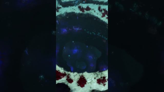 Subnautica - кинематик