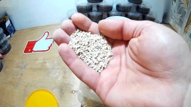 ЦЕОЛИТ В АКВАРИУМЕ. MAGIC FILLER FOR THE FILTER