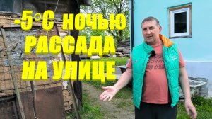РАССАДА ПОГИБЛА? Уехали на 3 дня. Оставили РАСТИШКИ без присмотра В МОРОЗНЫЕ НОЧИ. Жизнь в деревне.