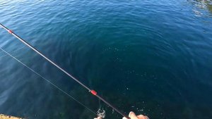 🔴ПОСЛЕ ШТОРМА НАЧАЛ СЕБЯ ПРОЯВЛЯТЬ. Морская Рыбалка На Зубаря в Крыму.