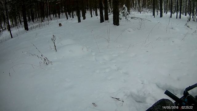 покатухи мото буксировщик Якудза