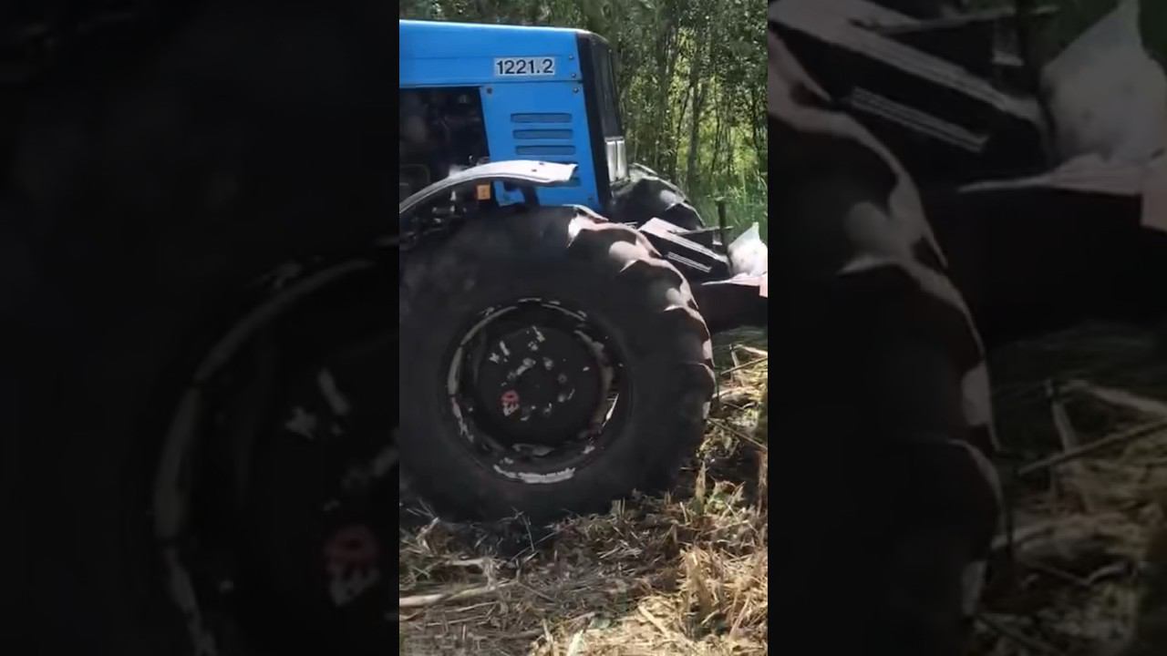 Мтз-1221 с мульчером Niubo TMD #tractor #niubo #расчисткаучастка #shorts