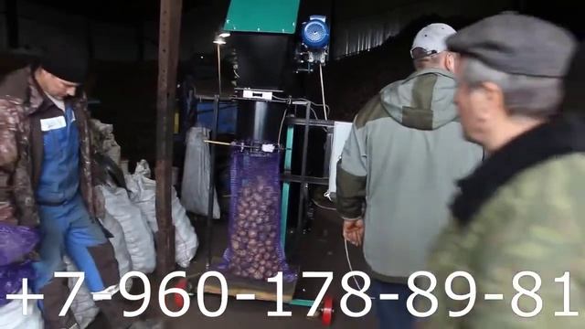 Фасовка картофеля в сетки с механическим зажимом на производстве у клиента смотреть онлайн