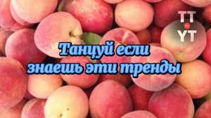 Танцуй если знаешь этот тренд тик ток__Тренды Тик Ток 2022