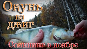 ОКУНЬ НА ДЖИГ! Осенний спиннинг